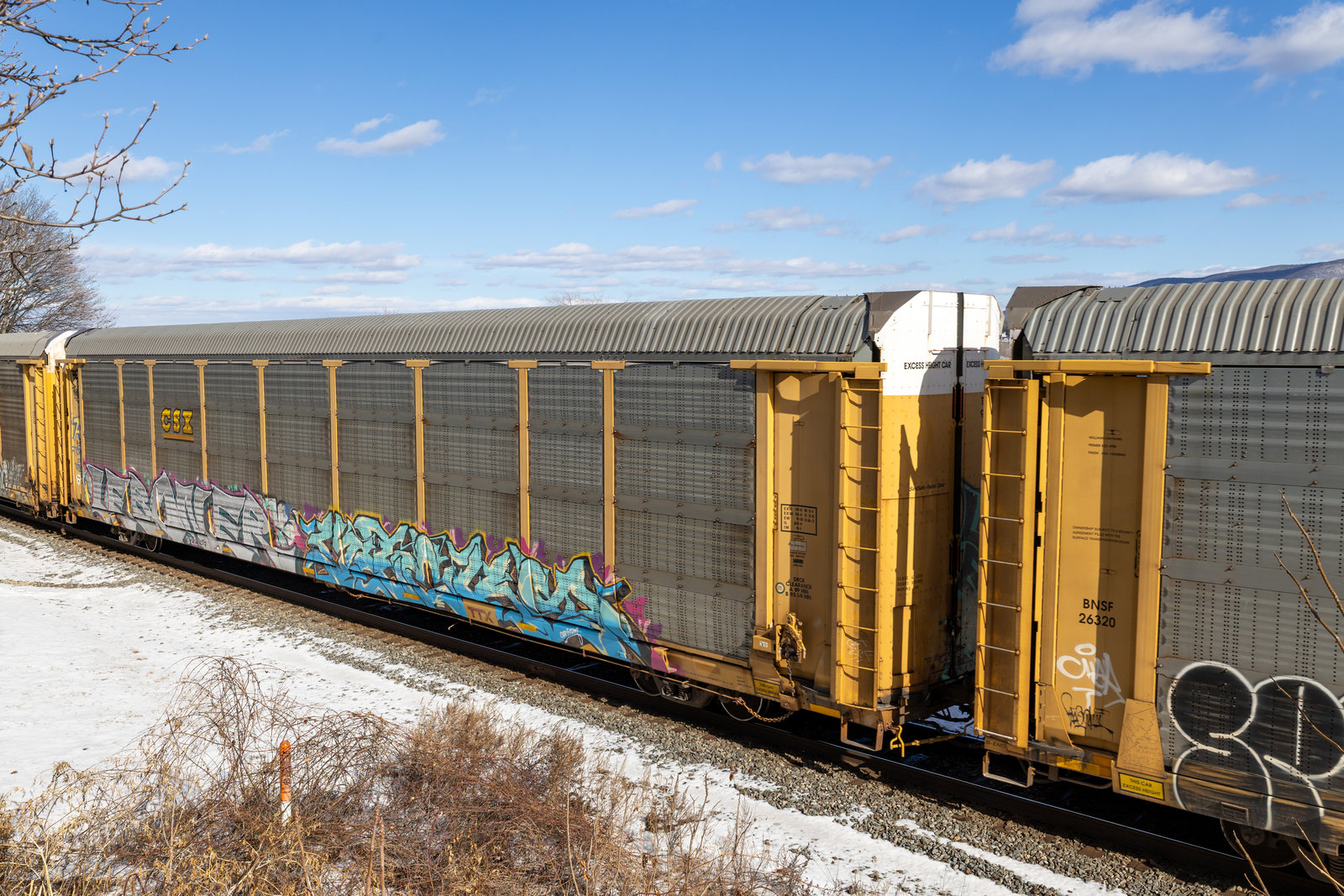 TTGX 922196