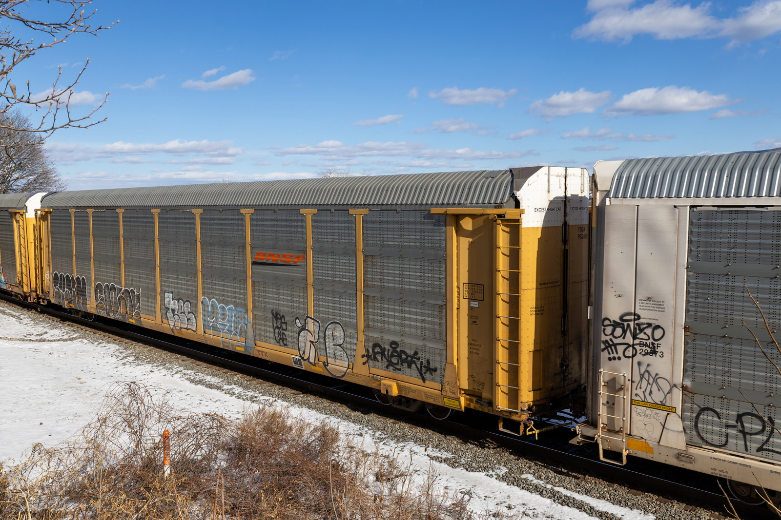 TTGX 952650