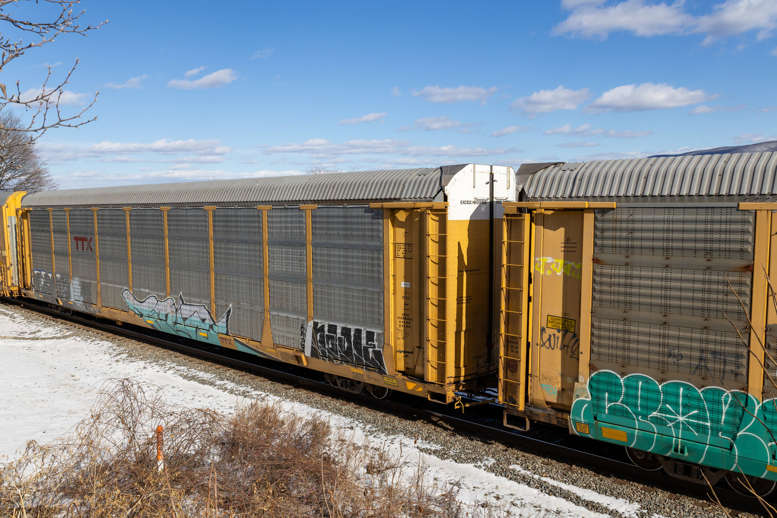 TTGX 710717