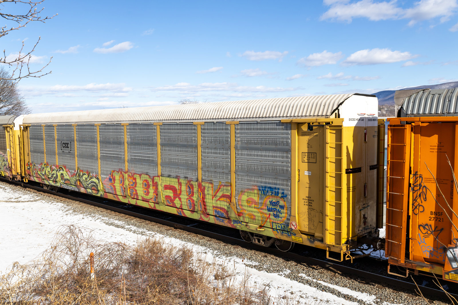 TTGX 975779