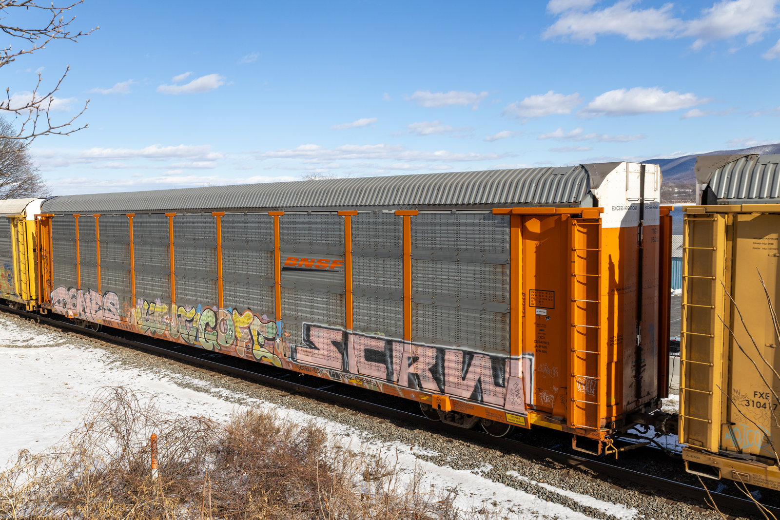 TTGX 952851
