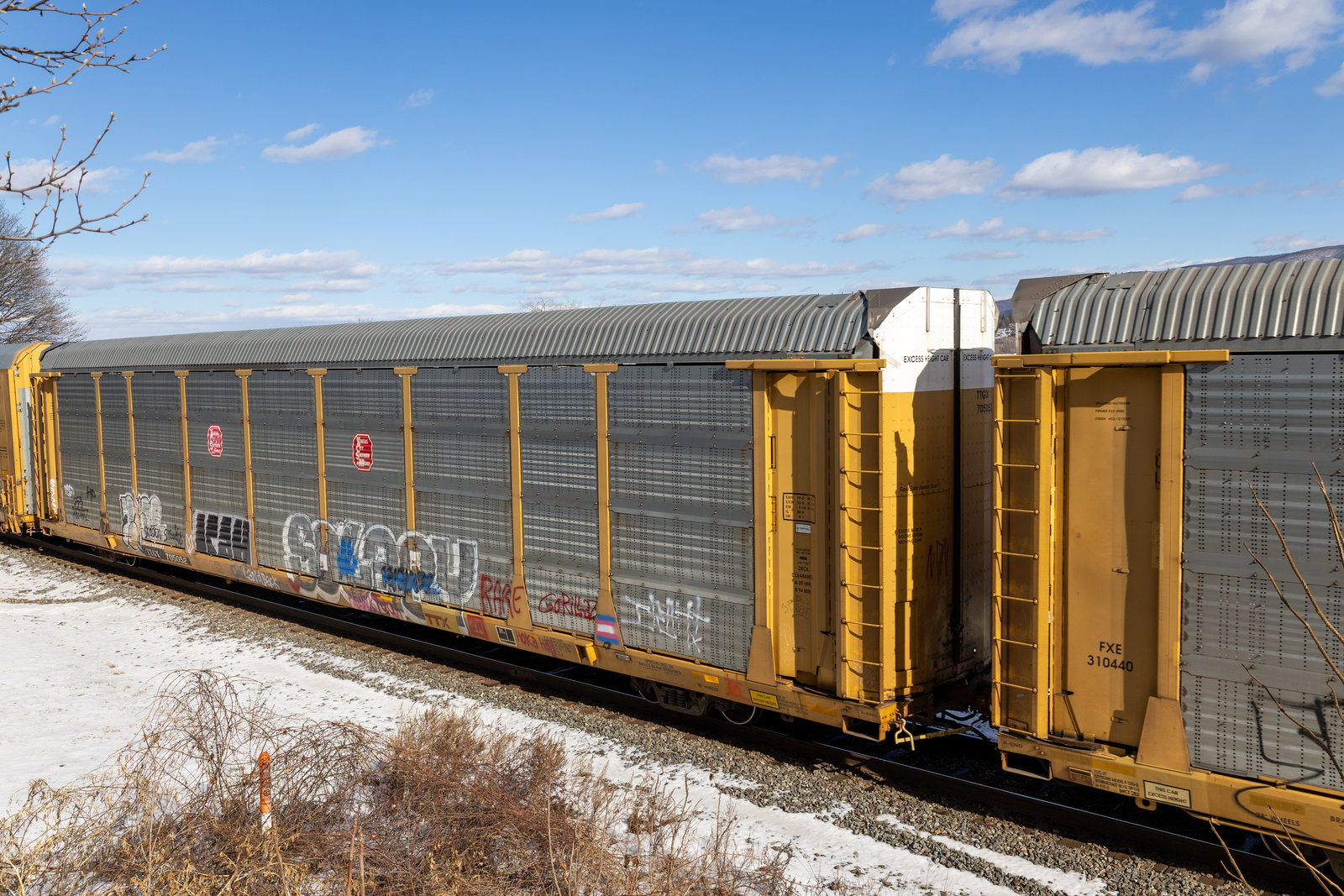 TTGX 705052