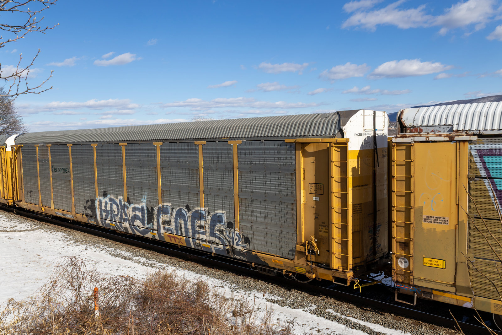 TTGX 704098