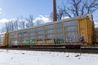 TTGX 160461