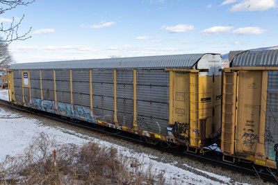 TTGX 965784