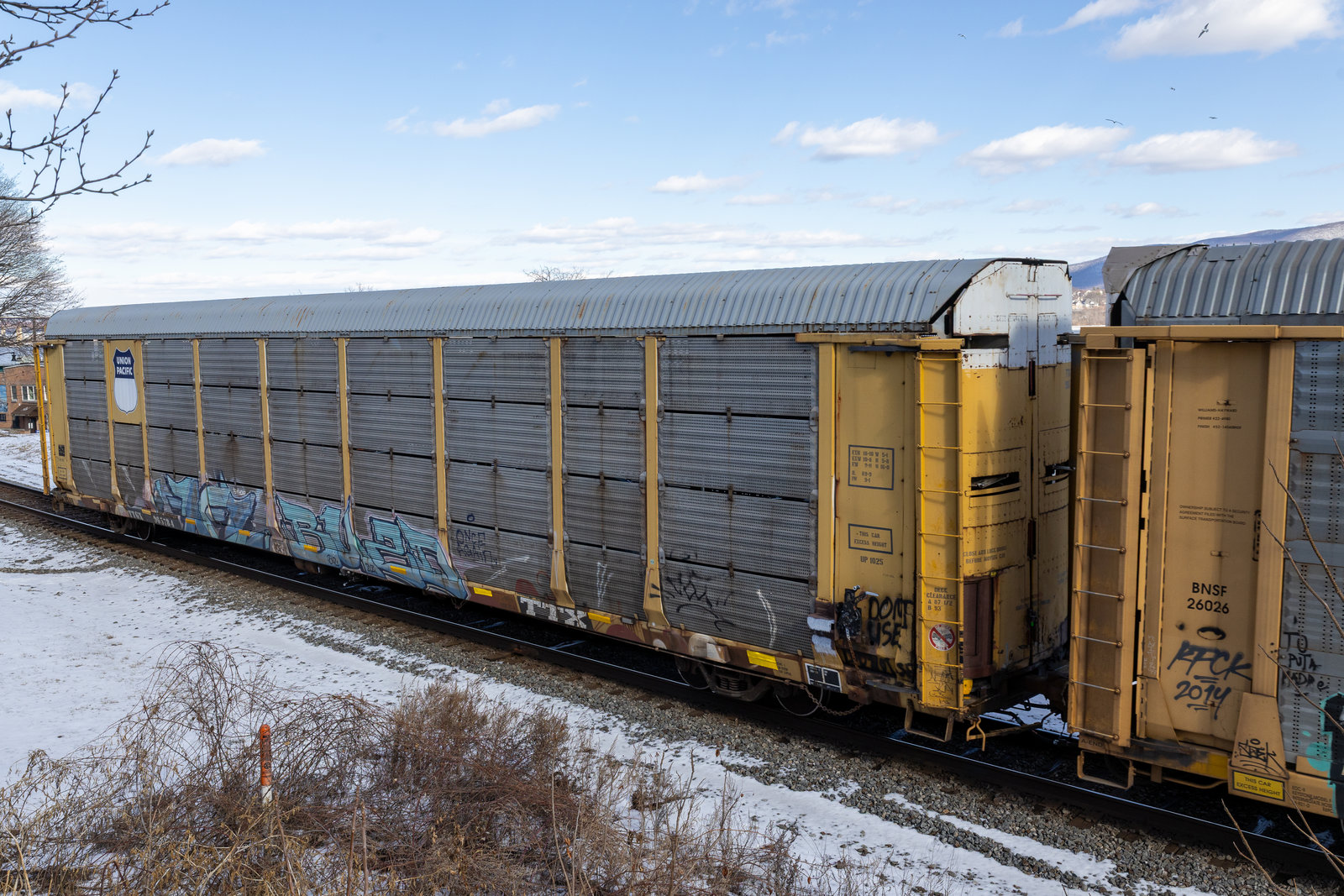 TTGX 965784