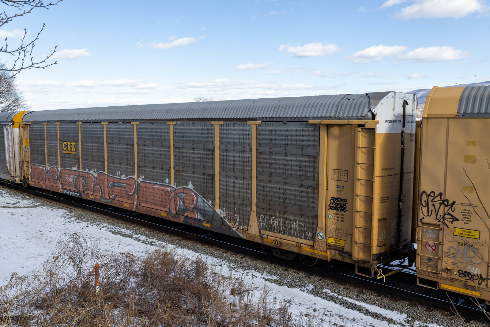 TTGX 996121
