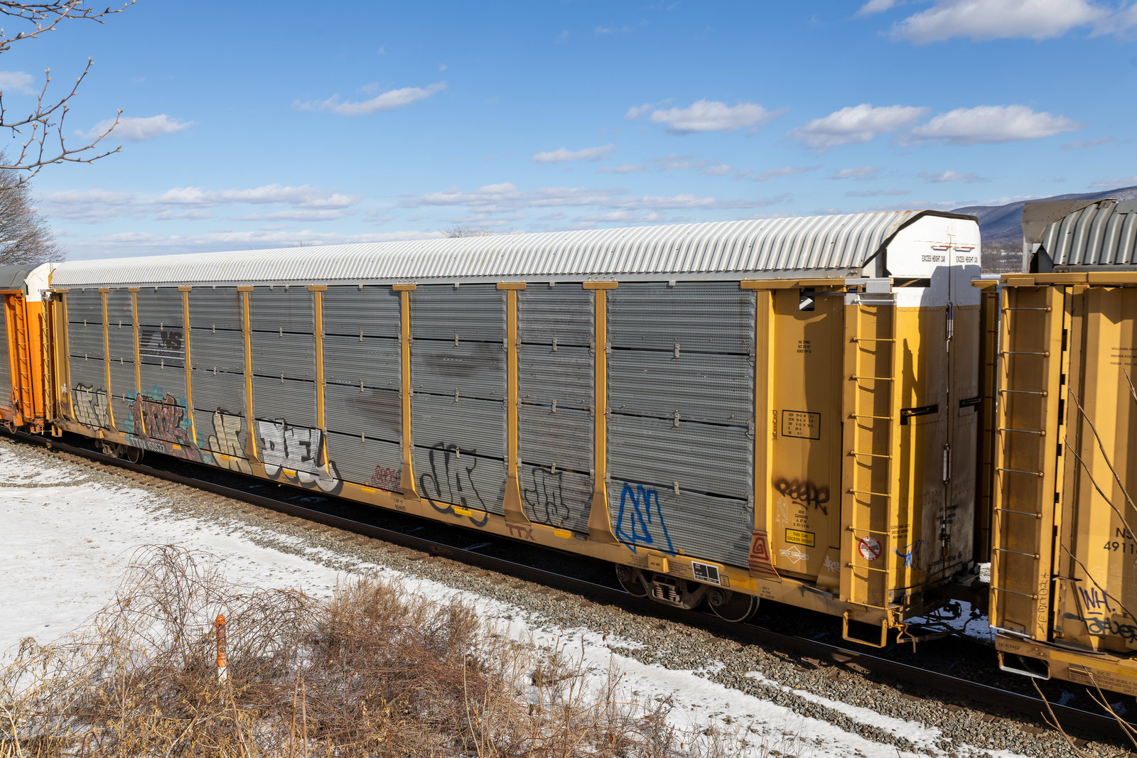 TTGX 159537