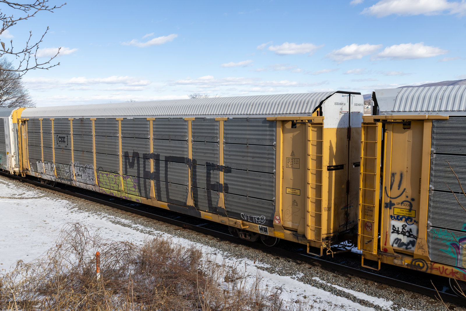 TTGX 993137