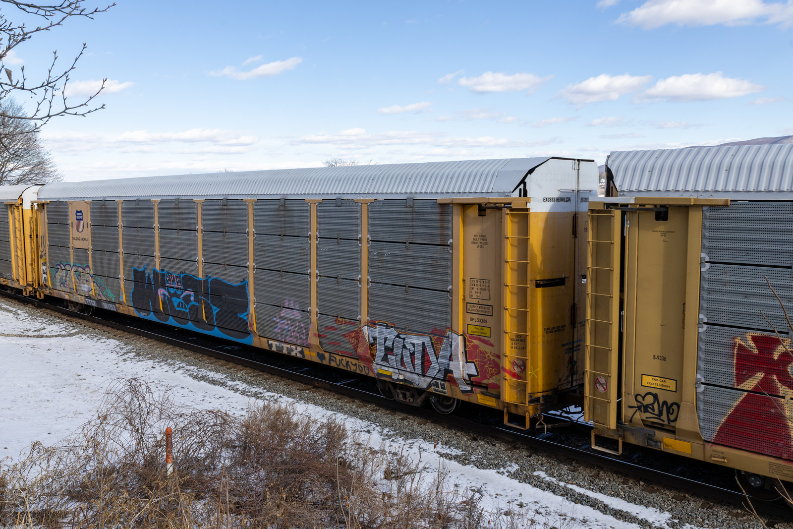 TTGX 981153
