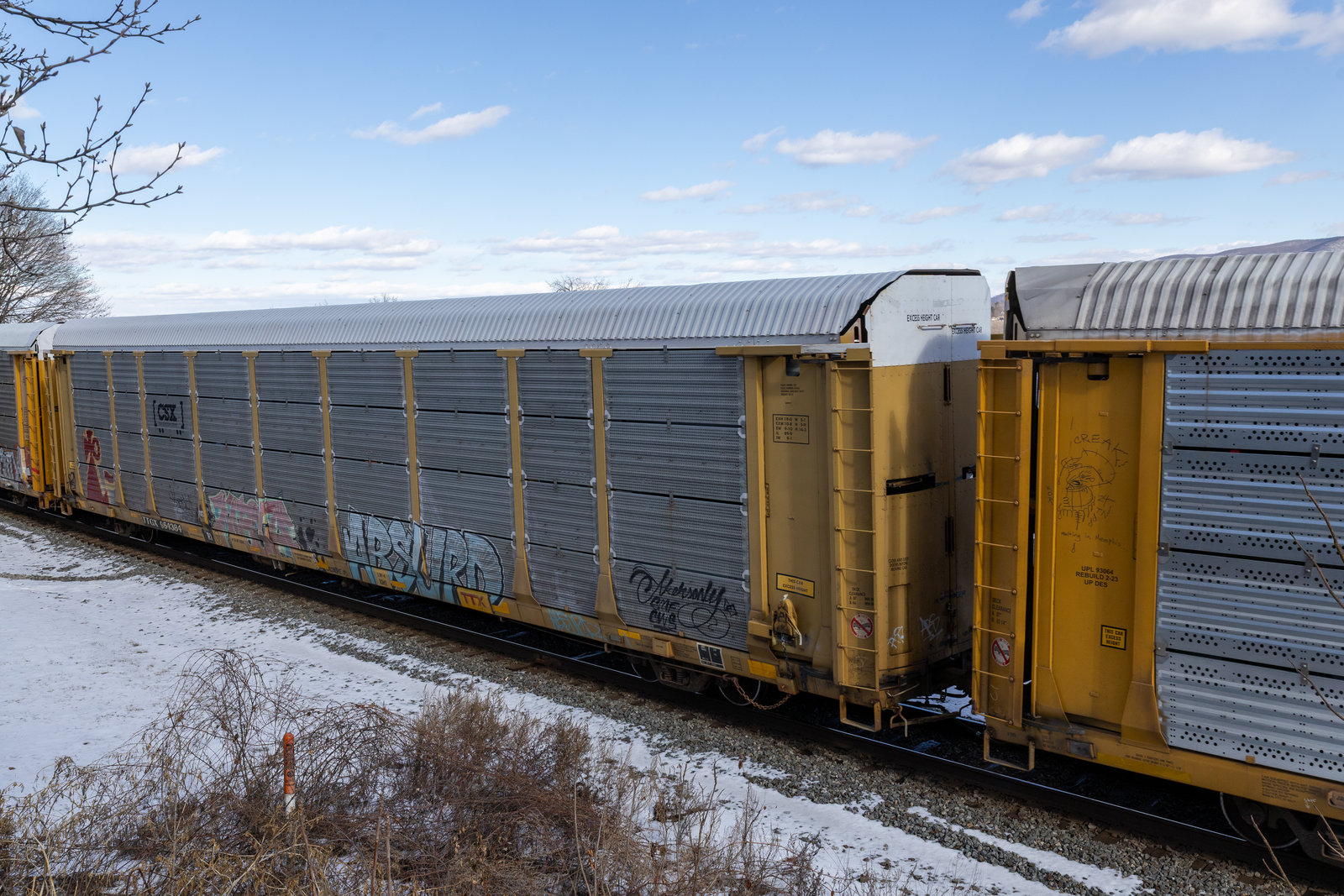 TTGX 964384