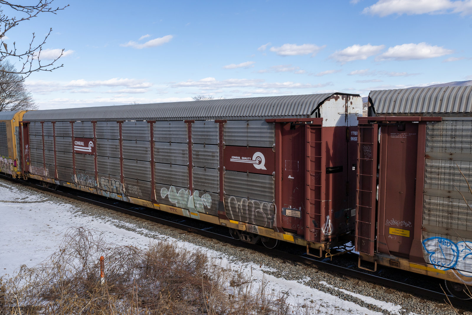 TTGX 965337