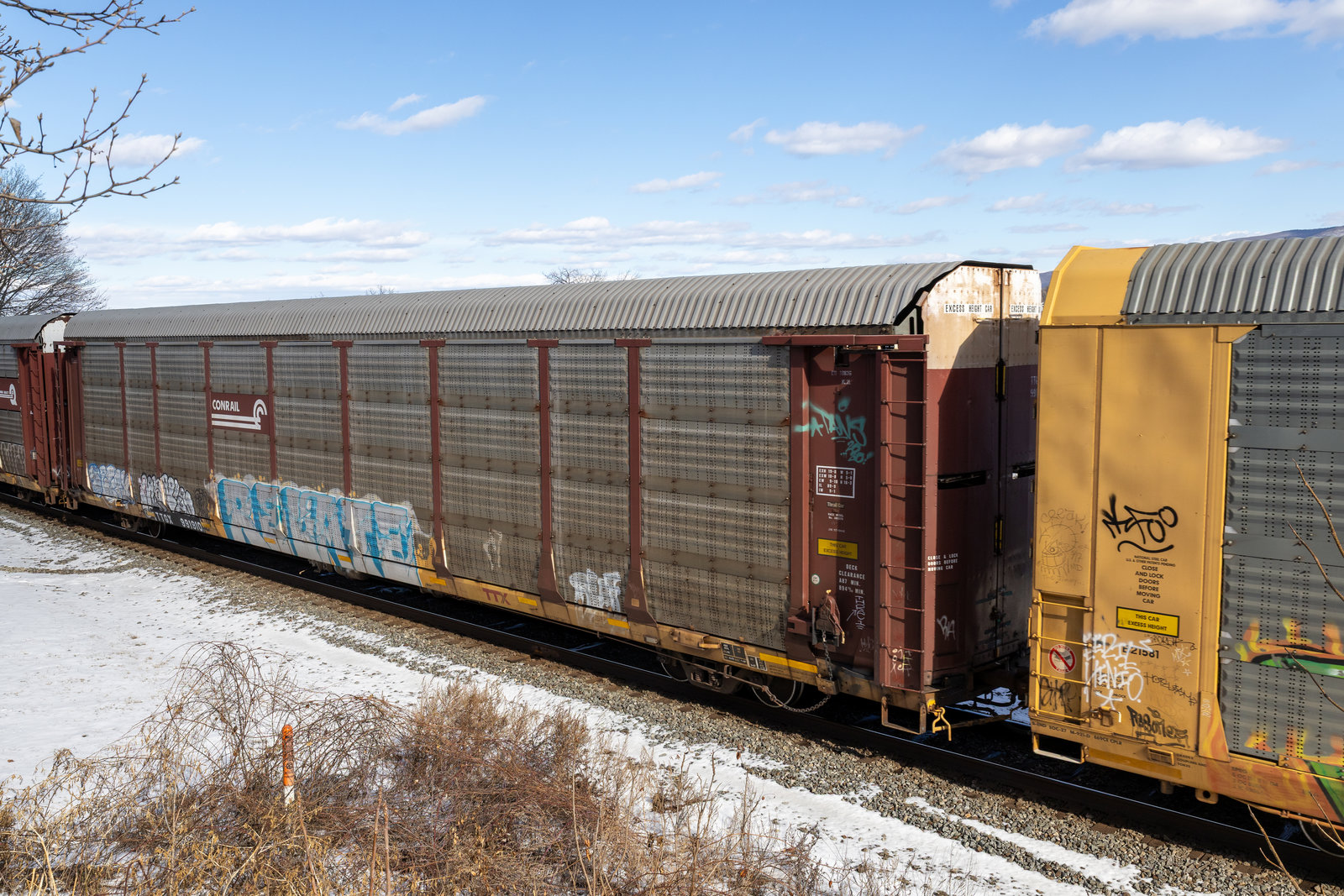 TTGX 991910