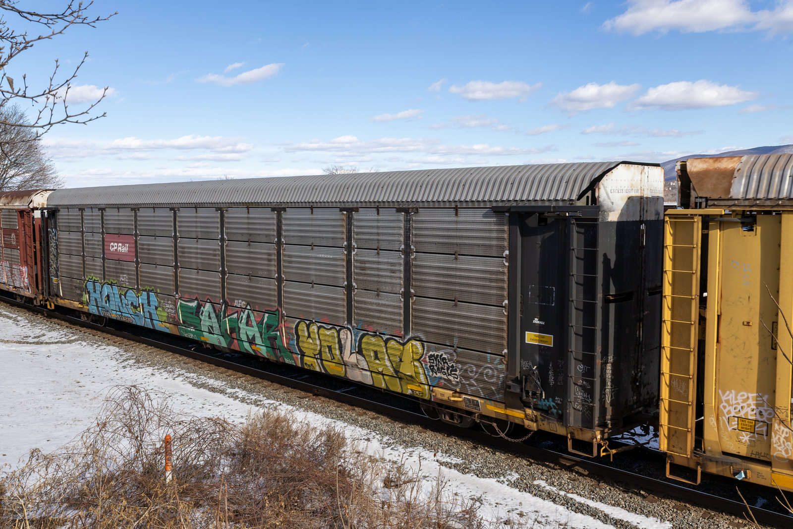 TTGX 973210