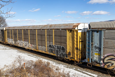 TTGX 977155