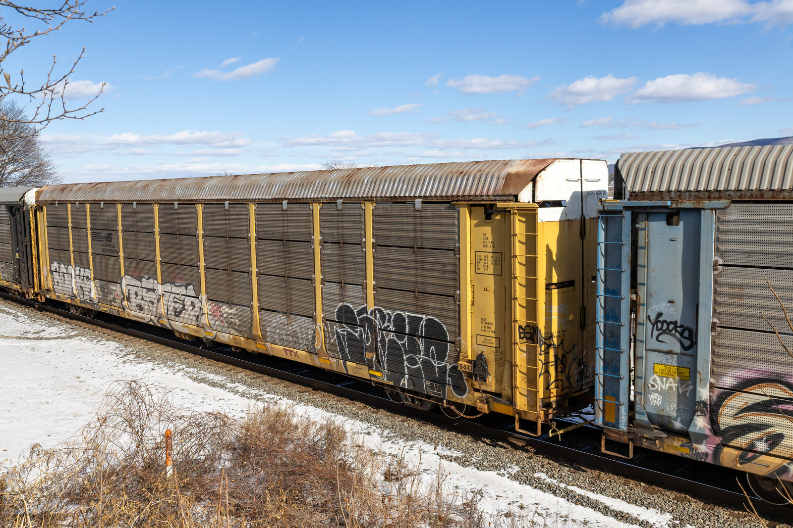 TTGX 977155