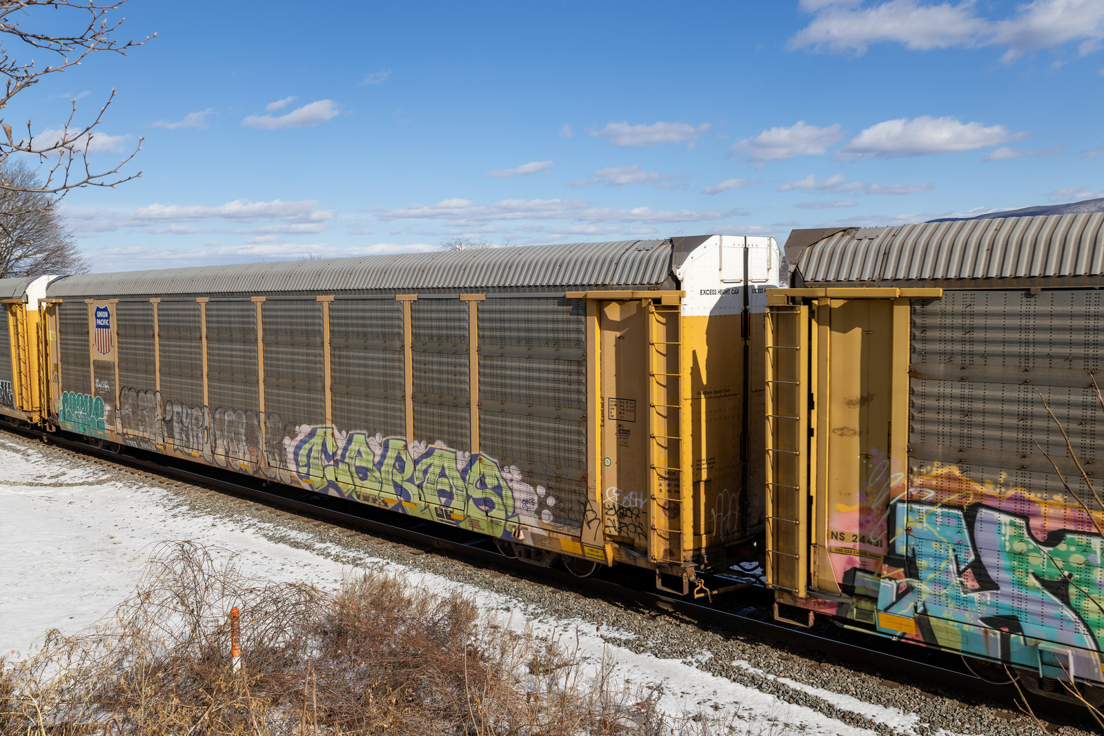 TTGX 996816