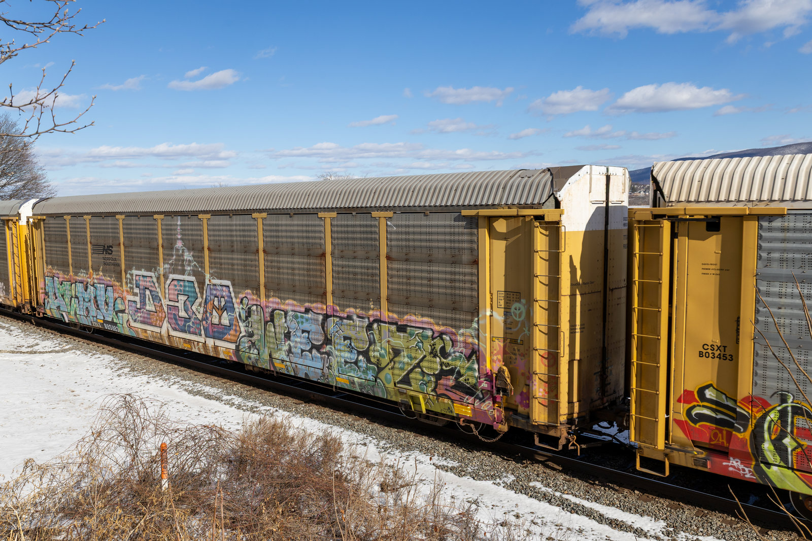 TTGX 985883