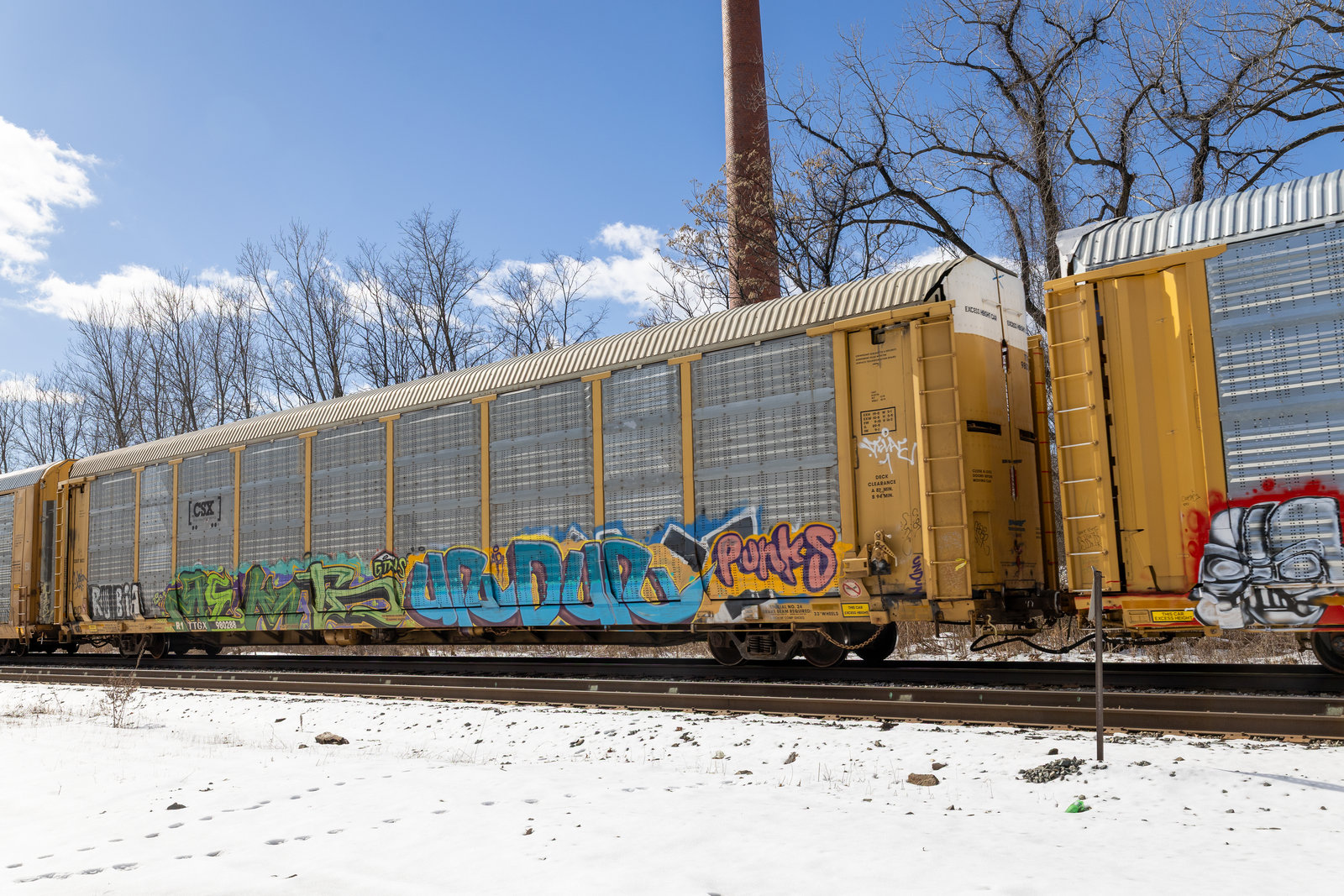 TTGX 980288
