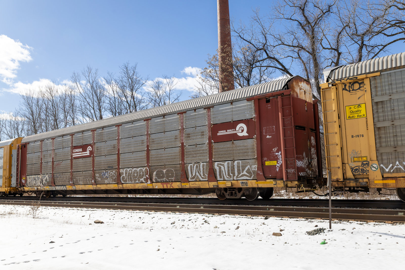 TTGX 980354
