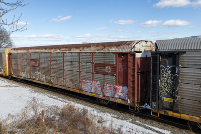 TTGX 255013