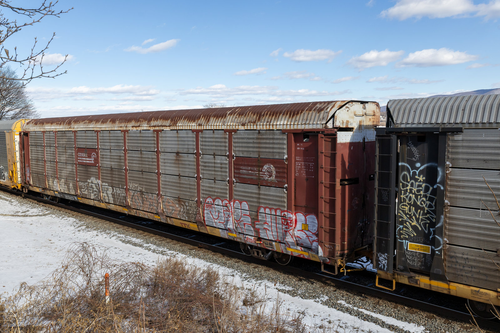 TTGX 255013