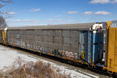 TTGX 254167