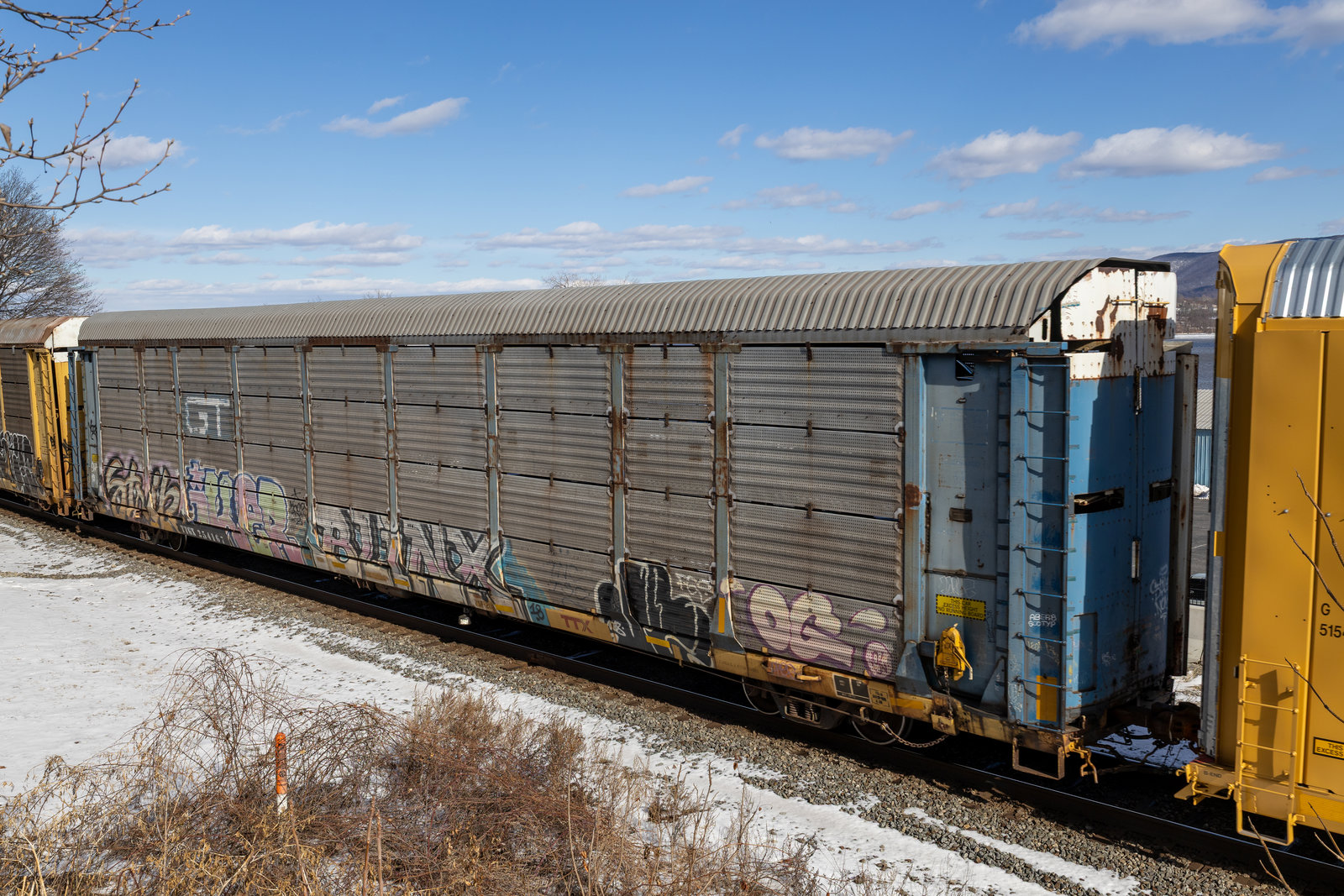 TTGX 254167