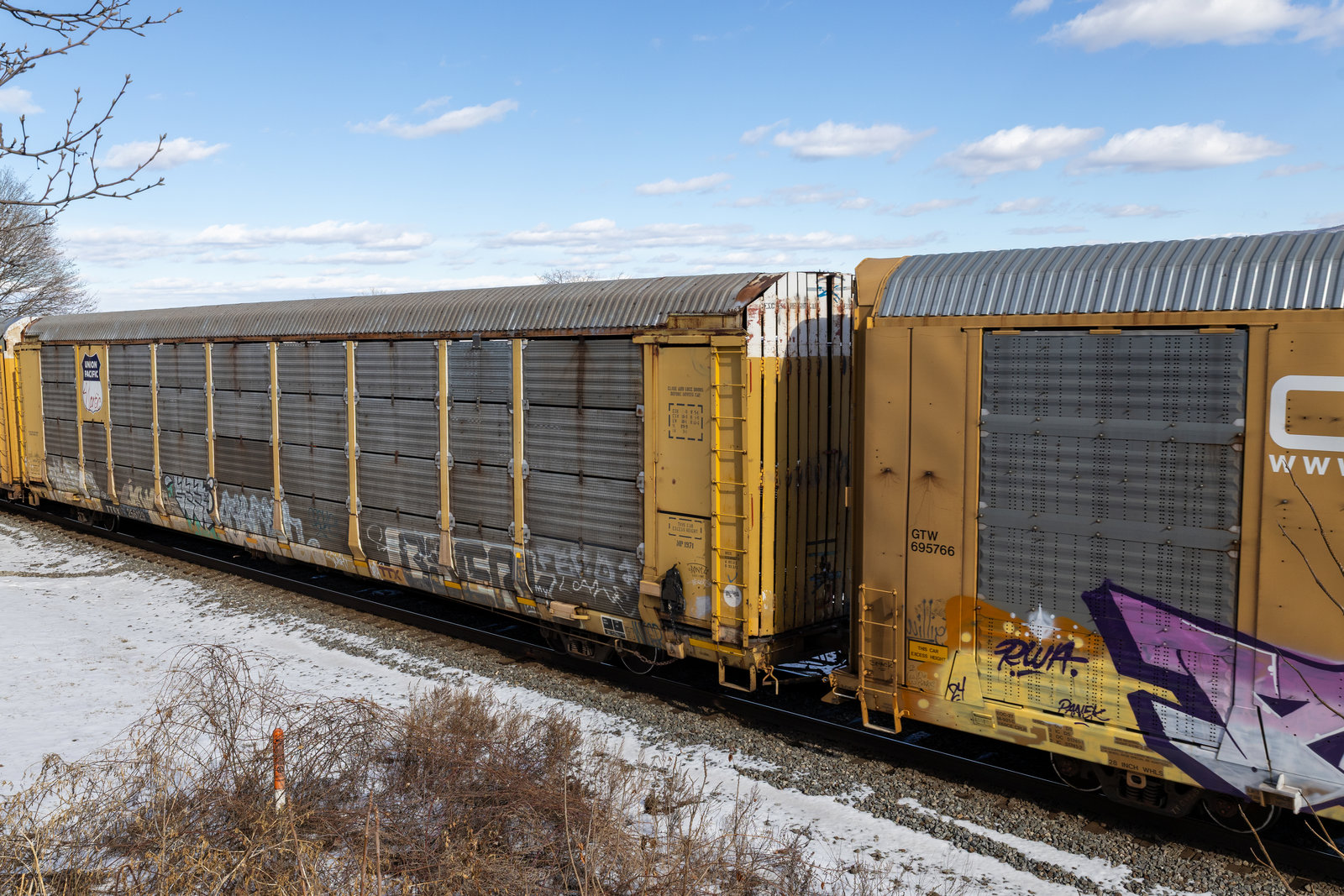 TTGX 256129