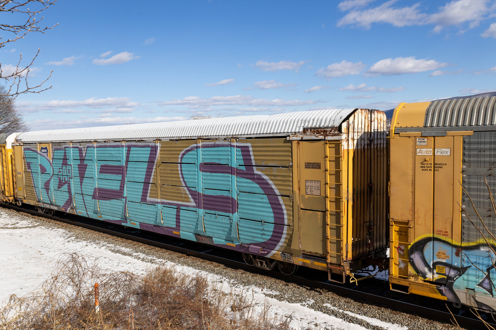 TTGX 255138