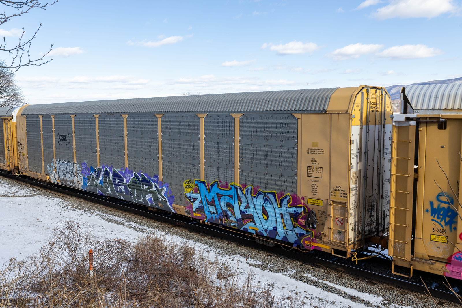 TTGX 715464