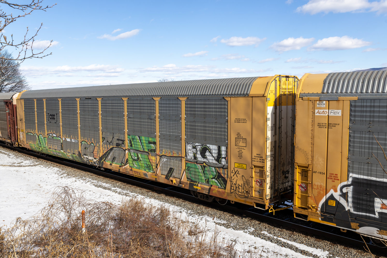 TTGX 715449