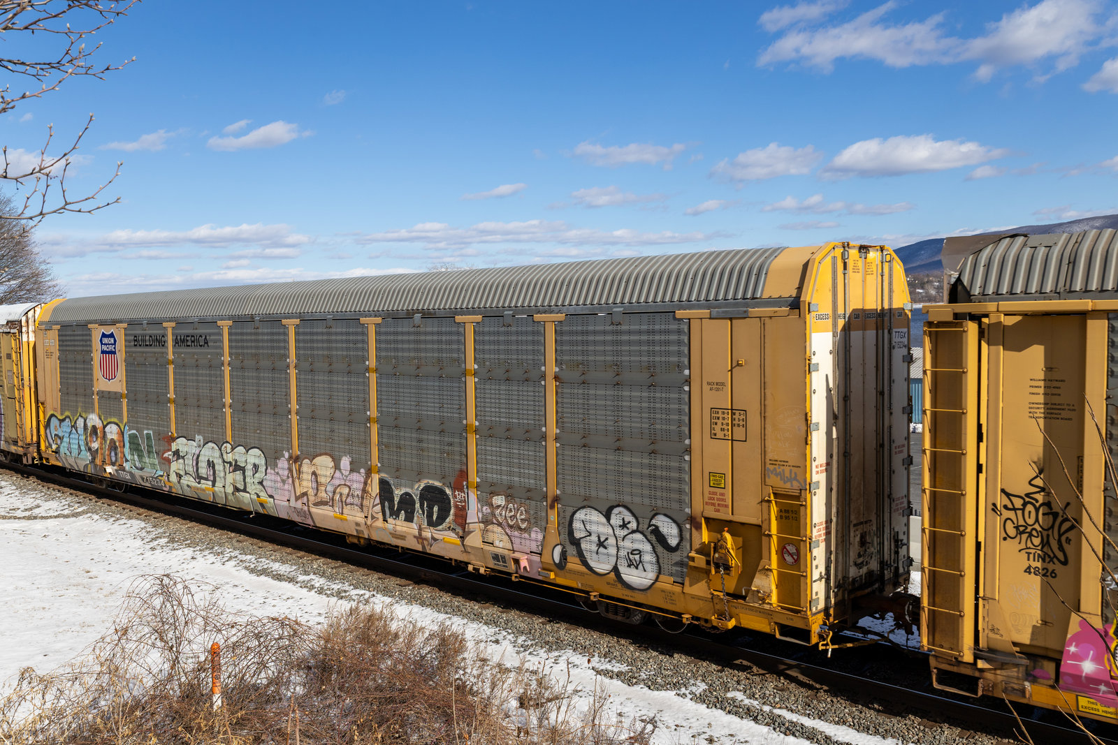 TTGX 715234