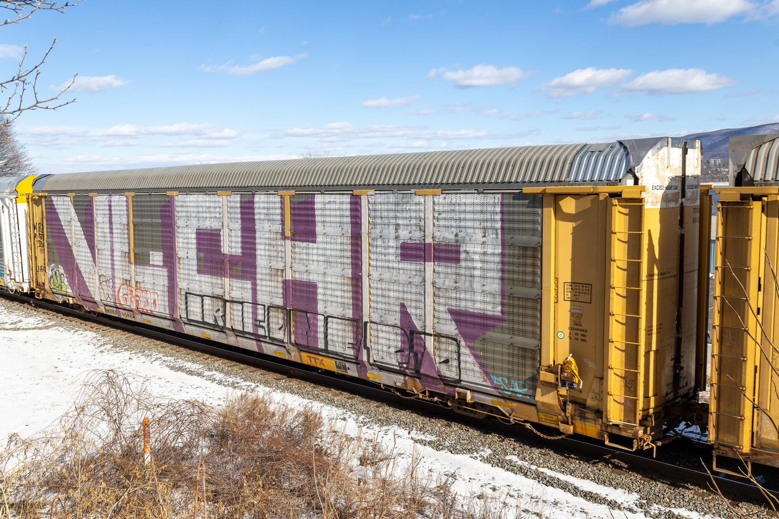 TTGX 851323