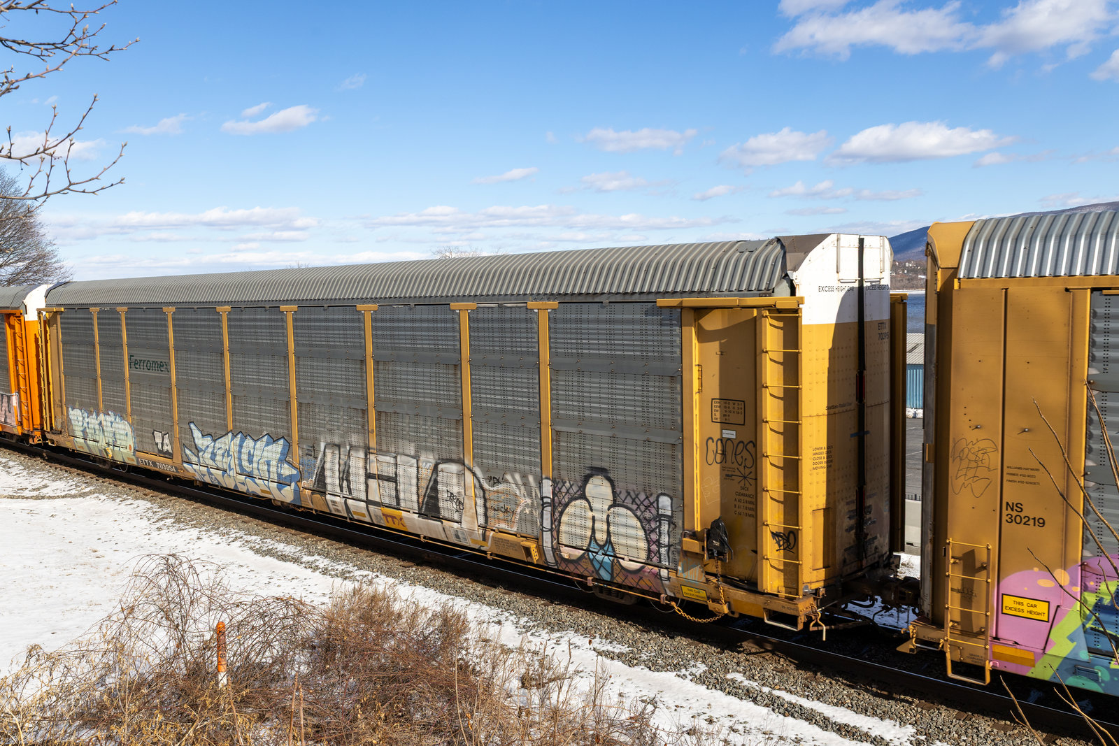 ETTX 703954
