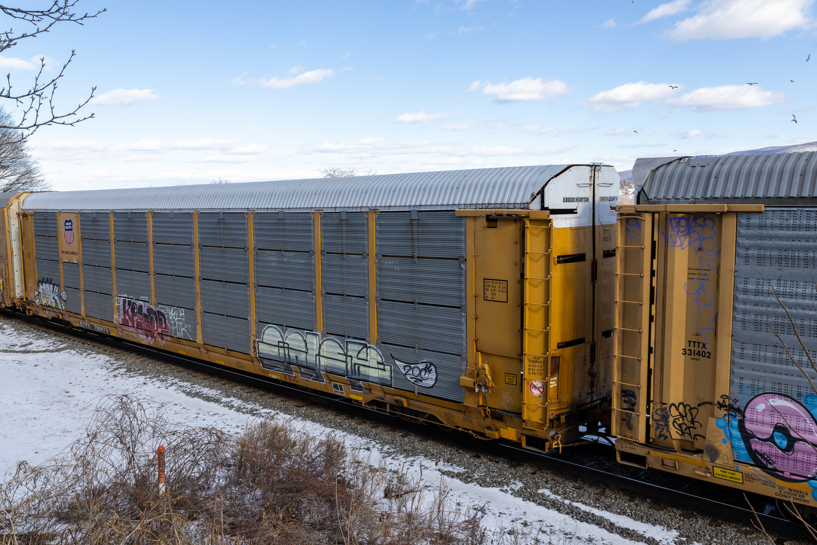 ETTX 700576