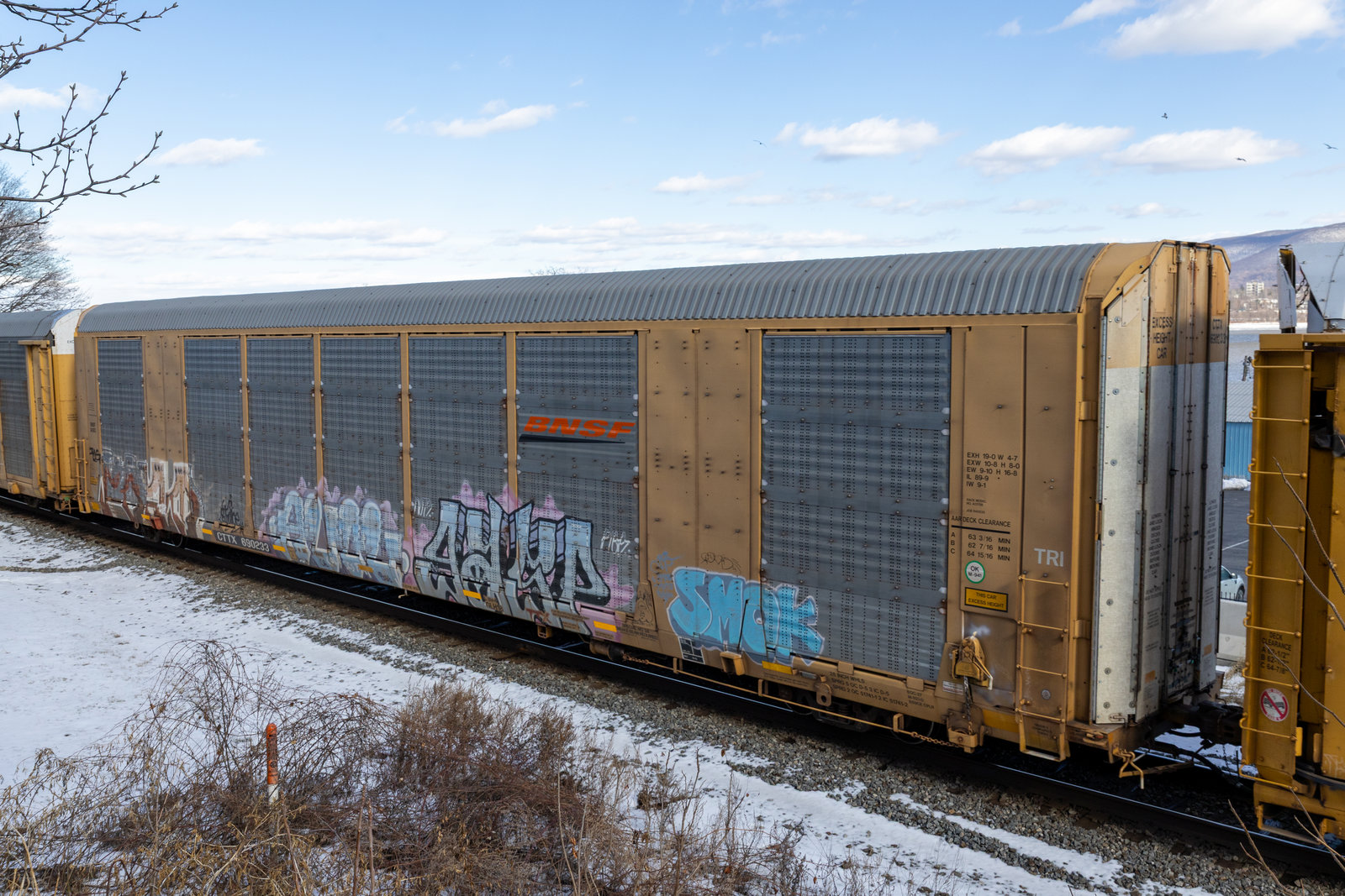 CTTX 690233