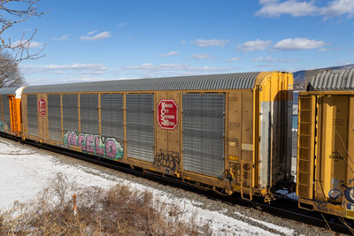 CTTX 694107