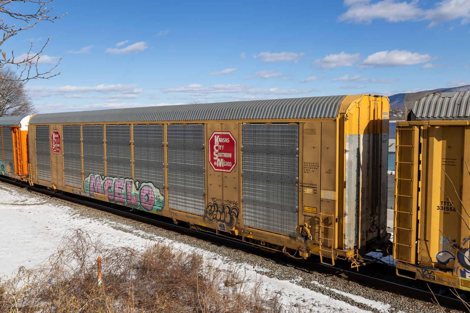 CTTX 694107