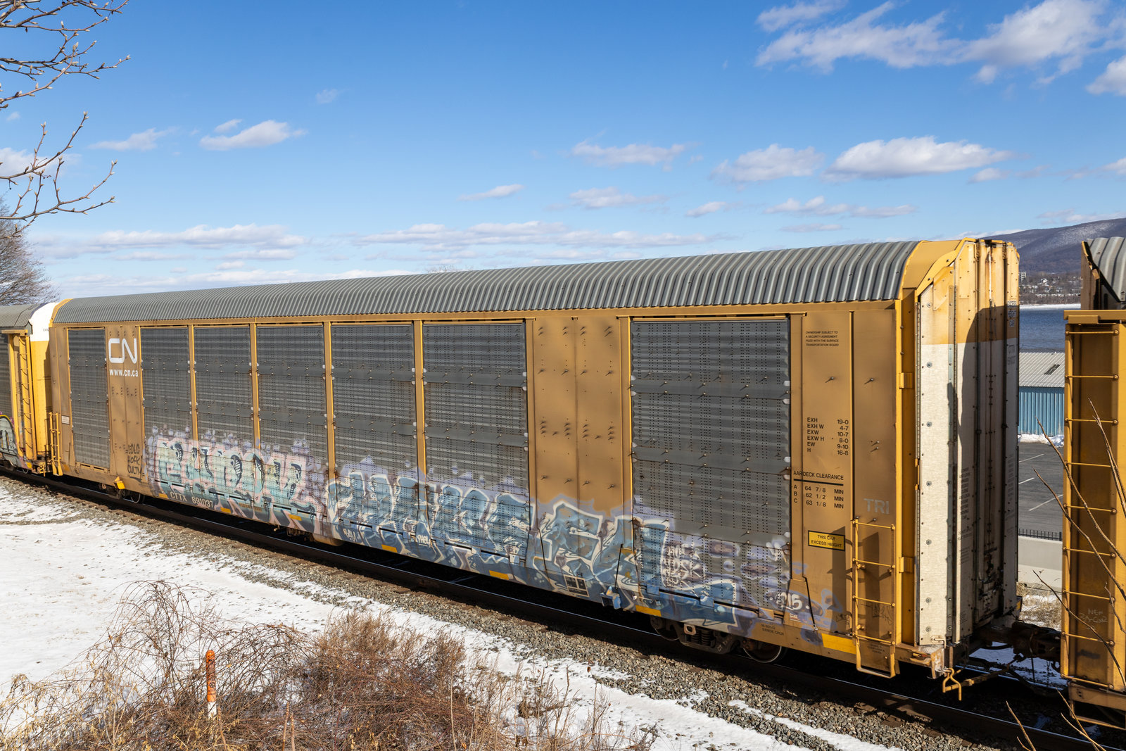CTTX 691037