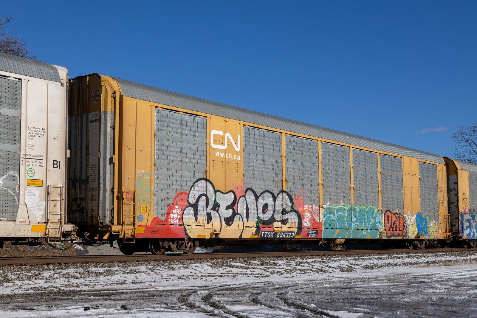 TTGX 694323