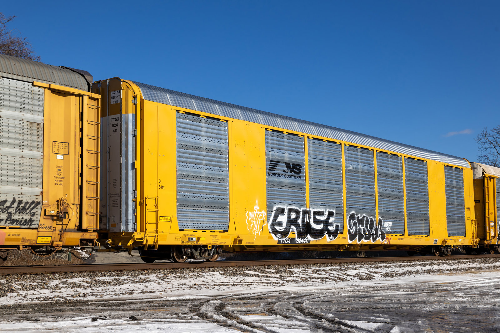 TTGX 824411