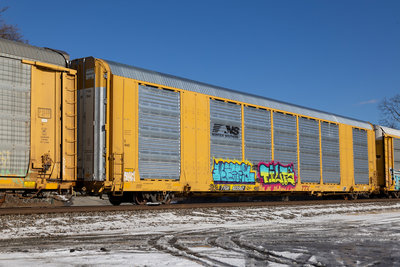 TTGX 823562