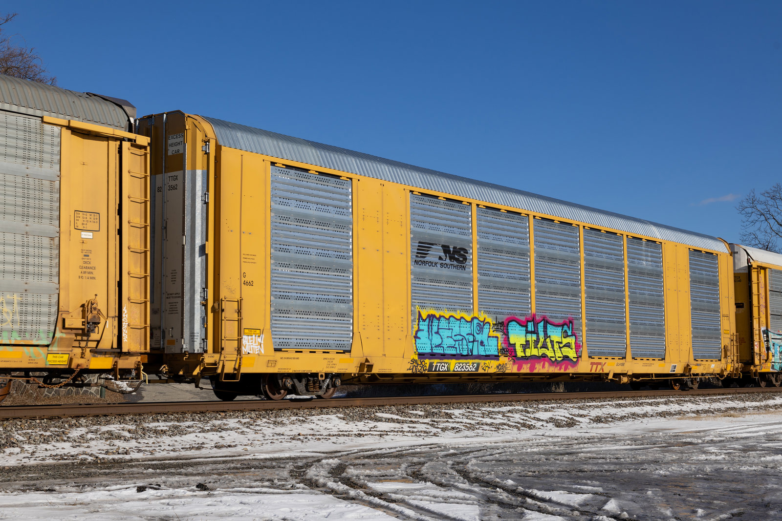 TTGX 823562
