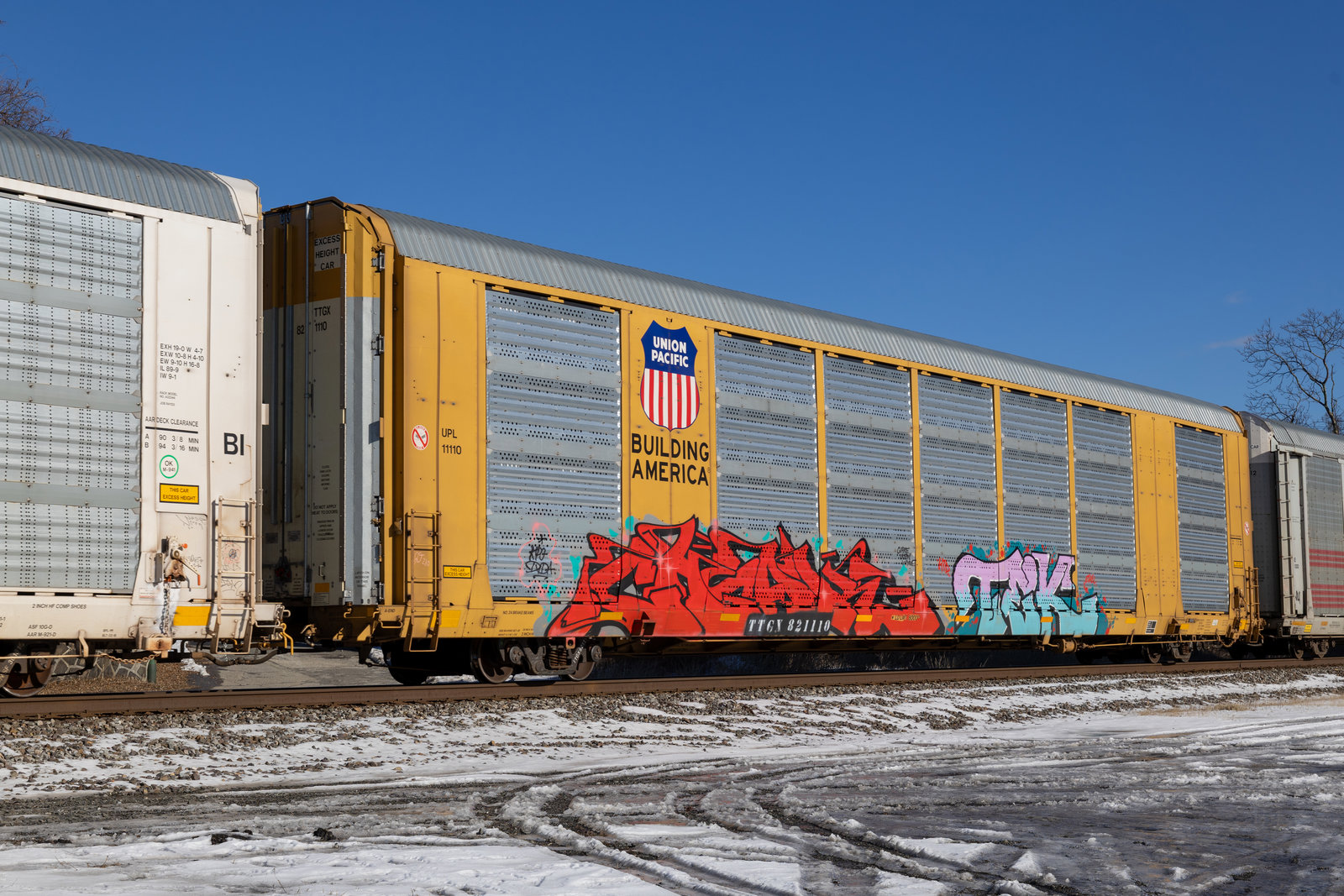 TTGX 821110