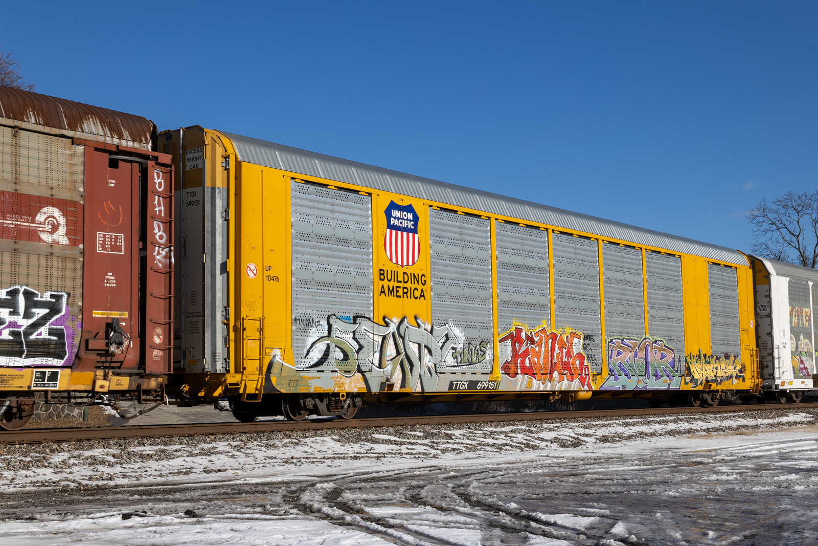 TTGX 699151
