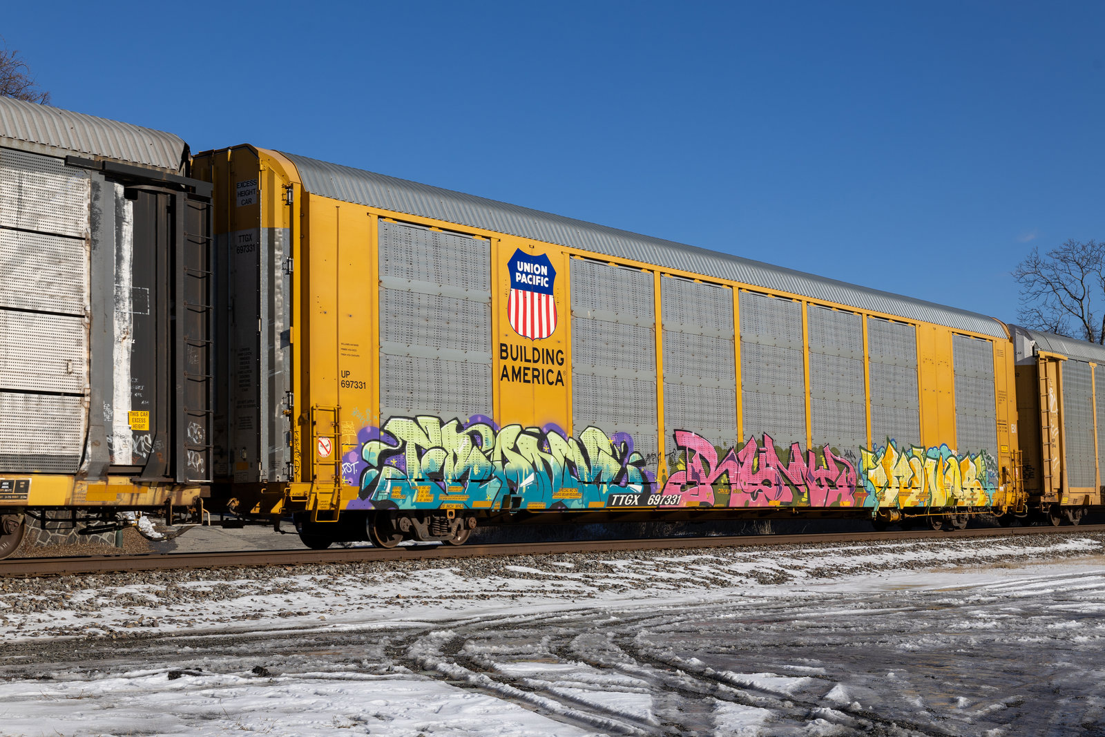 TTGX 697331
