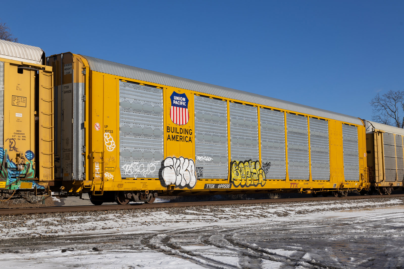 TTGX 699508