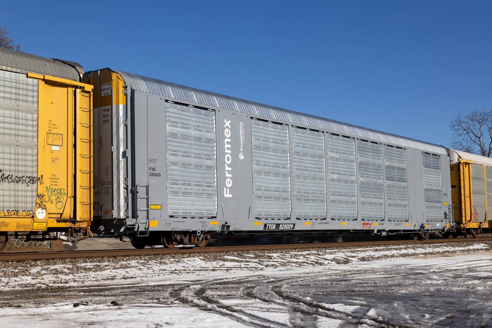 TTGX 825029