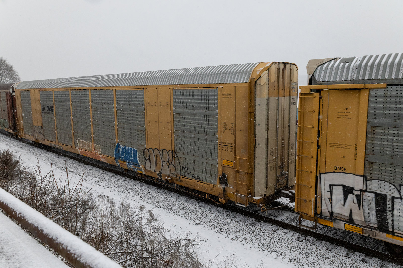TTGX 691506